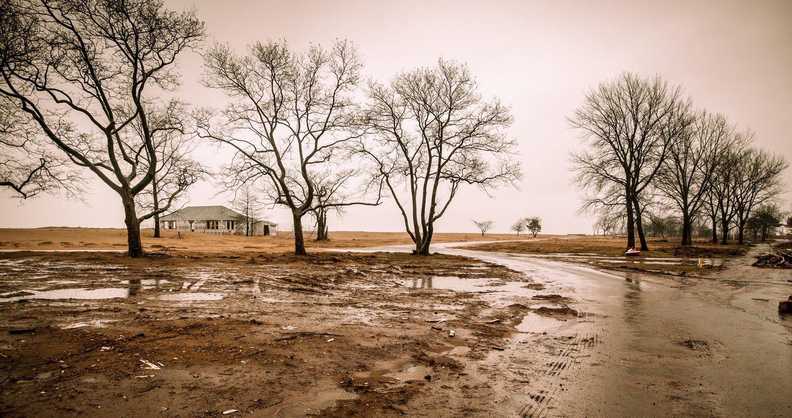 art-of-sandy-mo-staten island 2-25.jpg